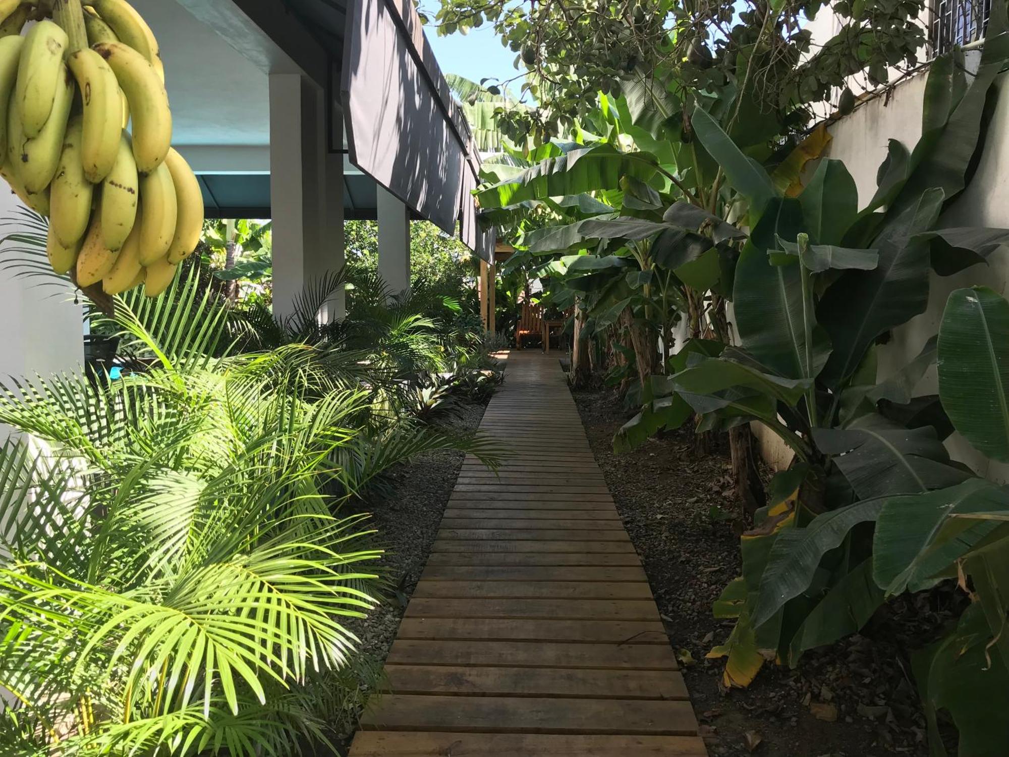 Centro De Santiago Hotel Santiago De Los Caballeros Ngoại thất bức ảnh